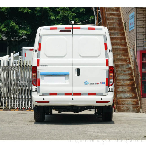 EV ELECTRAL ELECTRY HOT SALE NEDC 305km Transport Van Sea Lion جديد